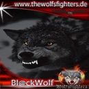 BlackWolf